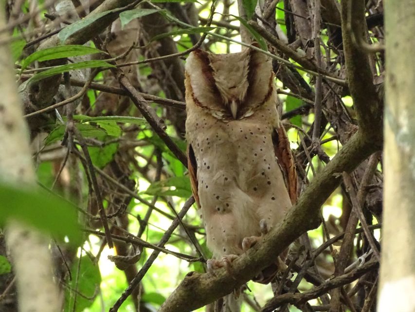 Birdwatching & Bird Photography at Thattekkad - Itinerary and Experience