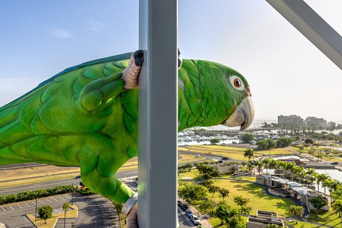 Blazing Bull Zip Line Activity at Toroverde Urban Park San Juan - Traveler Reviews and Feedback