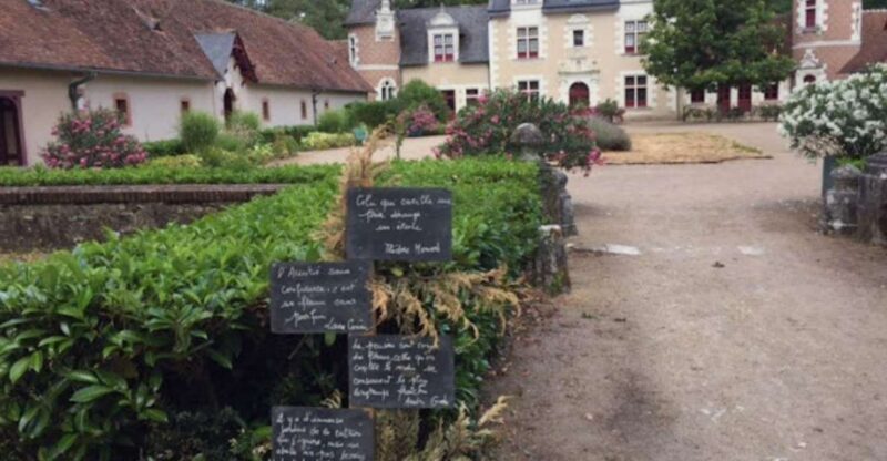 Blois: Exclusive Wine Tasting in Cheverny and Cour Cheverny - Booking Details