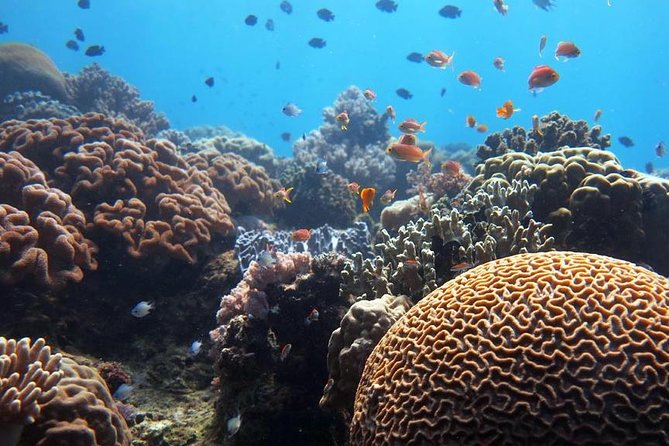 Bloo Lagoon Snorkeling East Bali Includes Transportation & Lunch - Participant Requirements
