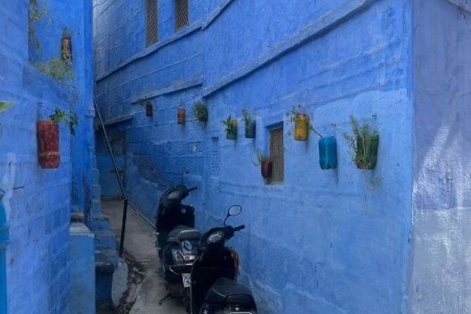 Blue City Heritage Walk - Immerse in Local Communities