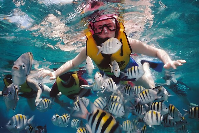 Blue Lagoon Snorkeling - Bali Best Snorkeling Site - Transportation and Pickup Options