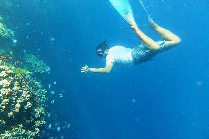 Blue Lagoon Snorkeling With Lunch and Private Transport - Tips for a Great Experience