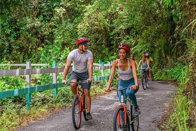 Blue Mountain Bicycle Tour - Scenic Highlights of the Route