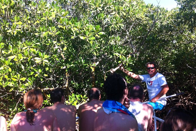 Boat Trip Visit Mangroves, Islets and Lagoon - Tour Meeting Point and Accessibility