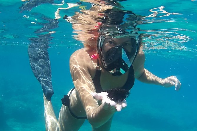 Boat Trip With Guided Snorkeling Tour & SUP in Chania - Inclusions and What to Expect