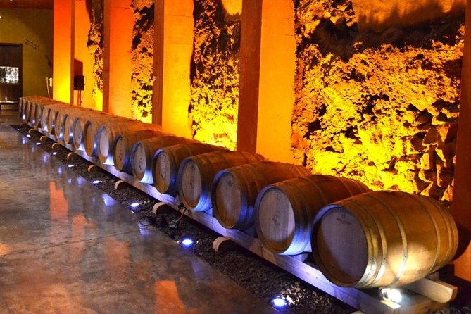 Bodegas Monje Winery Ticket W/Wine Tasting & Mojo Sauce Workshop - Additional Details
