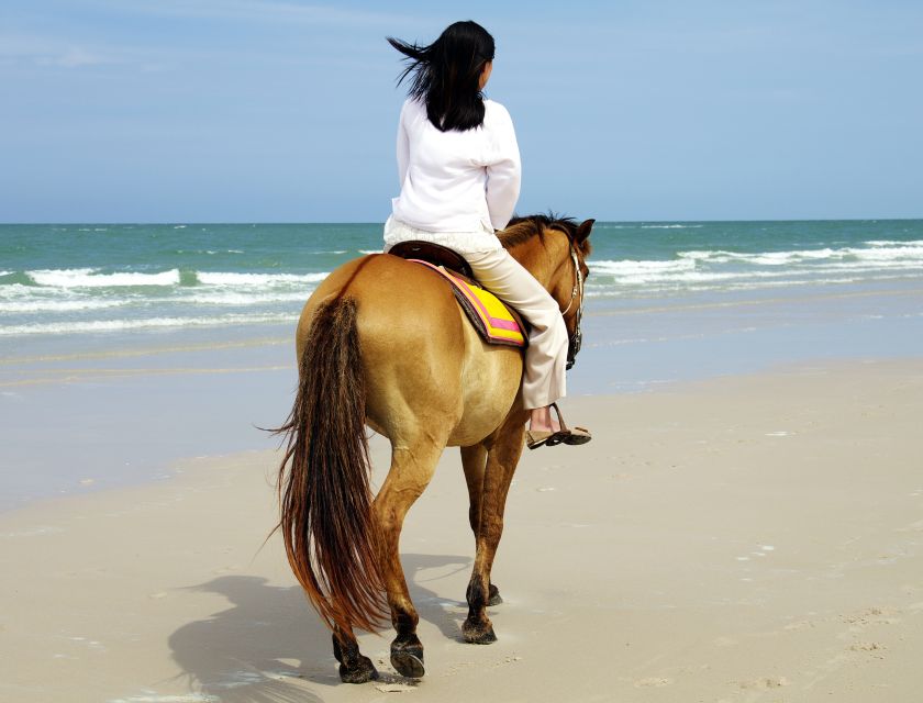 Bodrum: Horseback Riding Experience - What to Expect