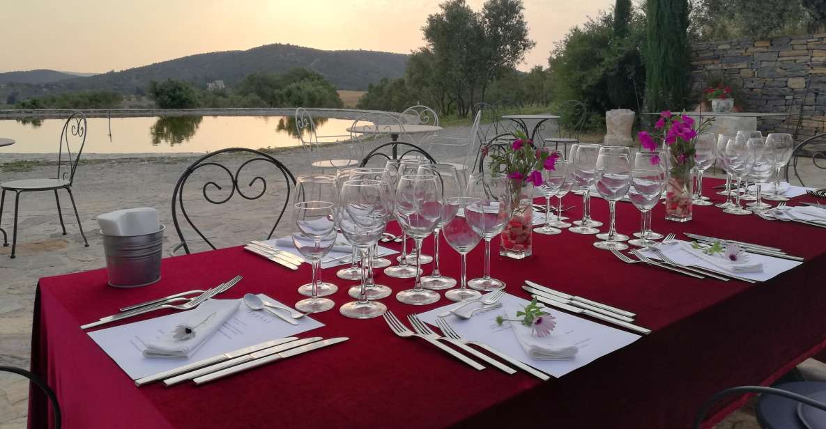 Bodrum Vineyard Tour With Dinner and Wine Pairing - Explore the Vineyard