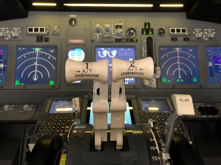 Boeing 737-800 Professional Simulator - 30 Minutes - Experience Inclusions