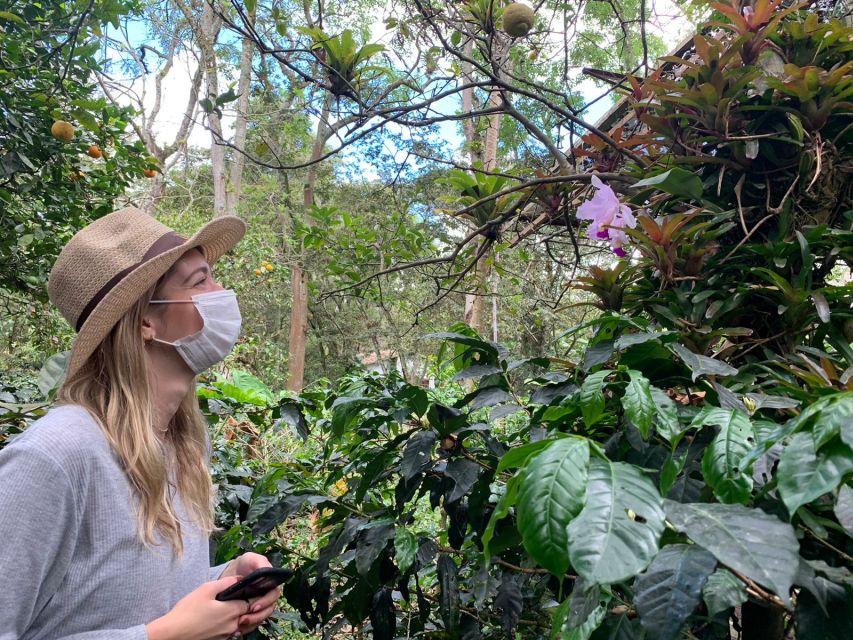Bogotá: Guided 5-Hour Coffee Farm Tour - Meeting Local Farmers