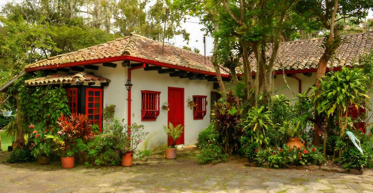 Bogotá: Guided Coffee Tour With Lunch, and Pickup & Drop-Off - Coffee Plantation Visit
