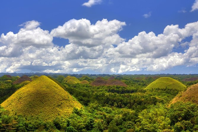 Bohol Countryside Day Tour From Cebu City | Lunch at Loboc River Cruise - Itinerary of the Tour