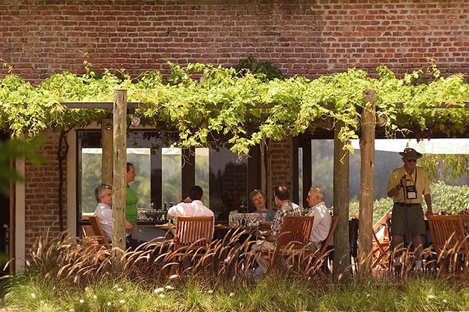 Bouza Winery Tastings and Tapas (Esp, Eng, Port) - Recommendations for Visitors