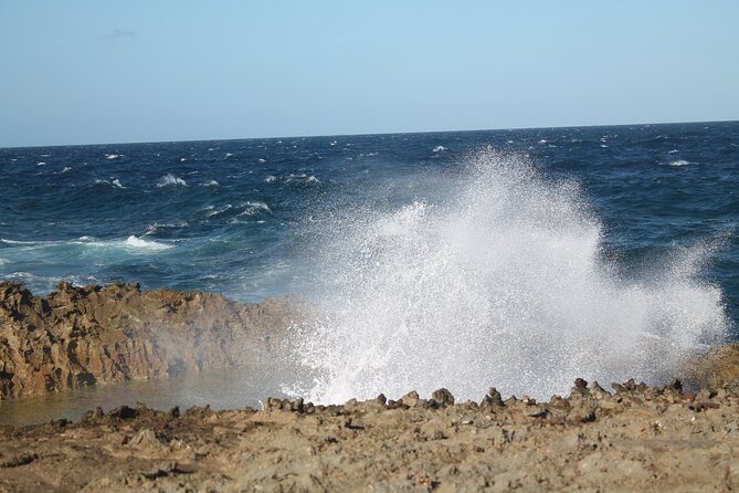 Breath of Curacao Safari - Pricing and Cancellation Policy