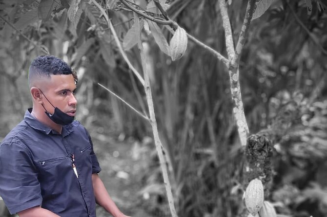 Bribri Magic Chocolate and Waterfall Experience - Guest Testimonials and Reviews