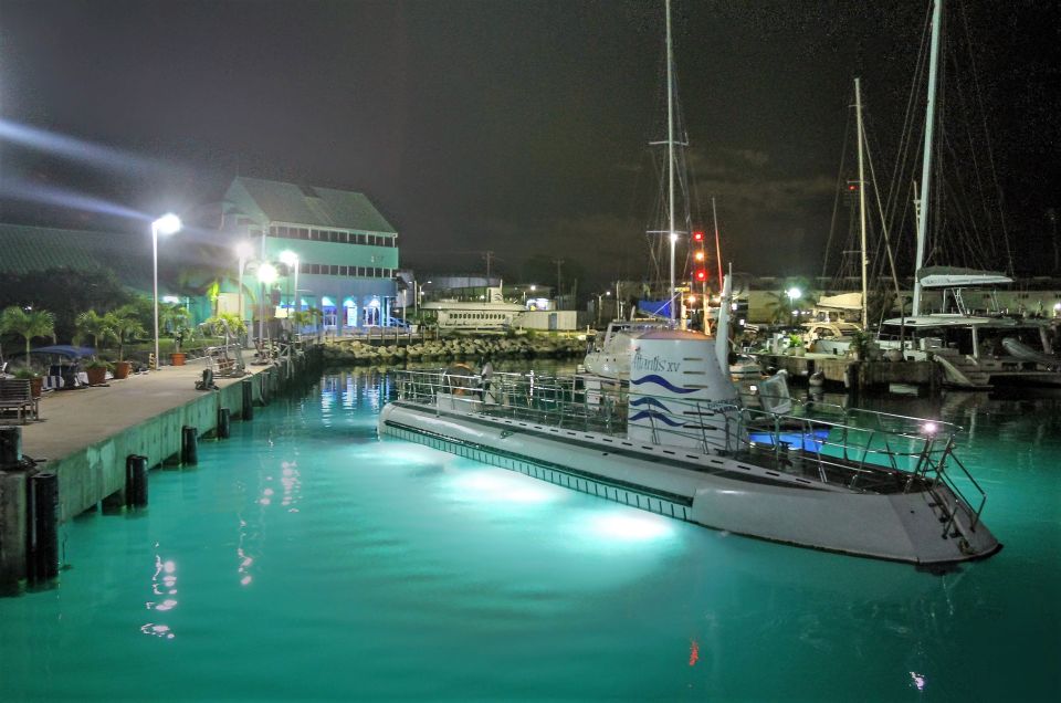 Bridgetown: Submarine Guided Night Tour - Vibrant Reef Colors