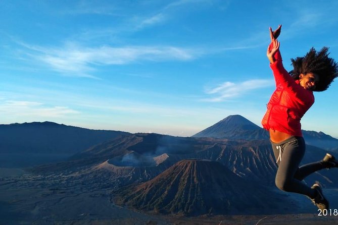 Bromo Panorama Tour to Avoid the Crowds - Start Malang // 1 Day Tour - Pickup and Meeting Details