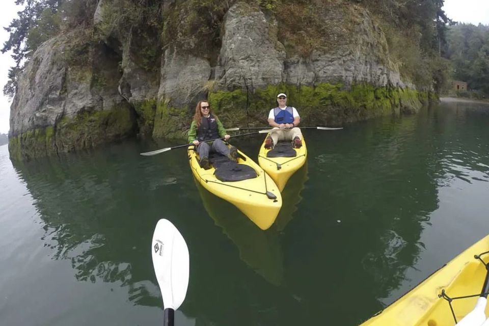 Brookings: Pacific Ocean Kayak Tour - Gear and Inclusions