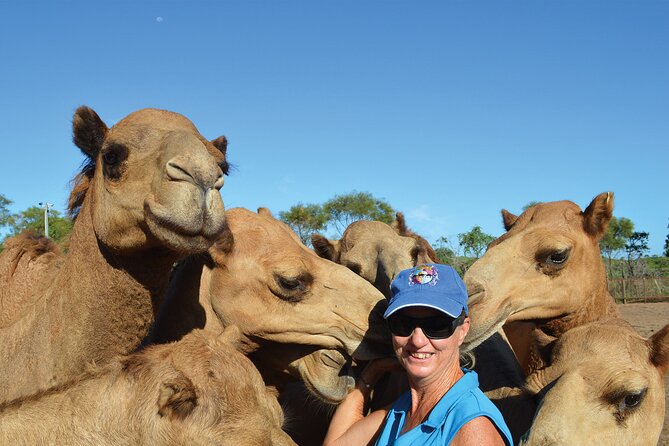 Broome Pre-Sunset Camel Tour 30 Minutes - Scenic Highlights of Cable Beach