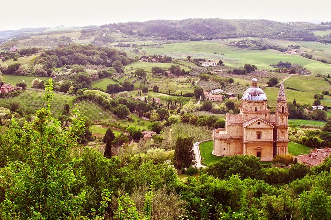 Brunello and Nobile, Wine Lover Tour Montalcino and Montepulciano - Winery Visits in Montalcino