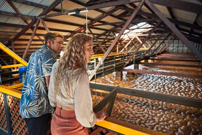 Bundaberg Rum Behind The Scenes Distillery Tour And Museum Experience - Accessibility Features