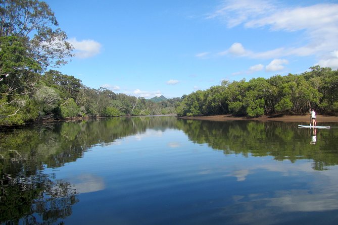 Byron Stand Up Paddle Nature Tour - Wildlife Observation Experience