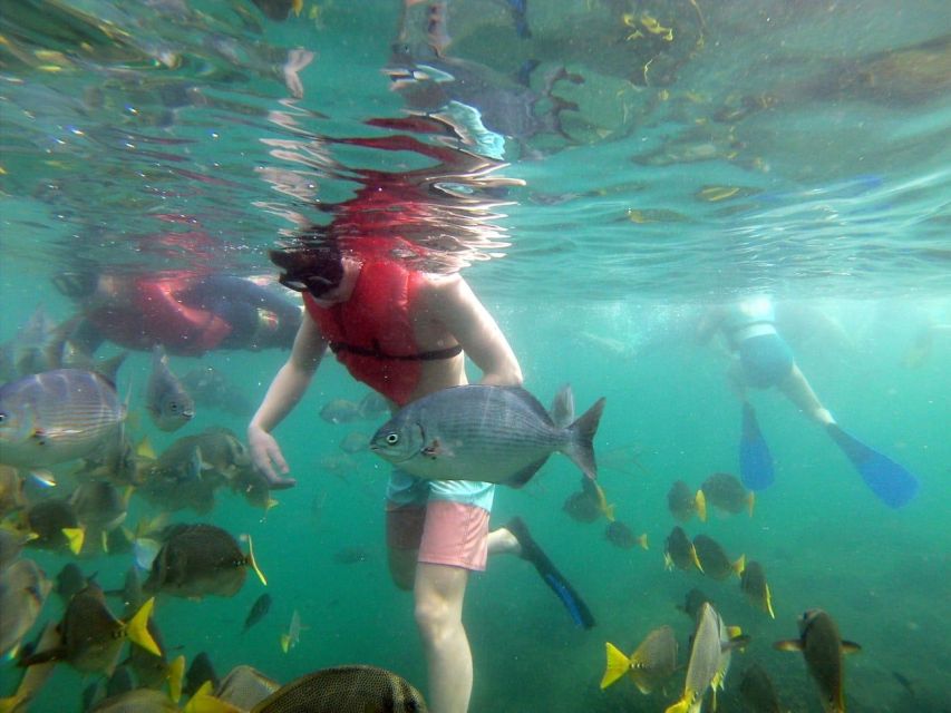 Cabo: Land's End Snorkeling With Open Bar - Snorkeling in Crystal-Clear Waters