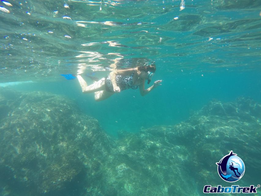 Cabo Ocean SAFARI - Snorkel Gear and Refreshments