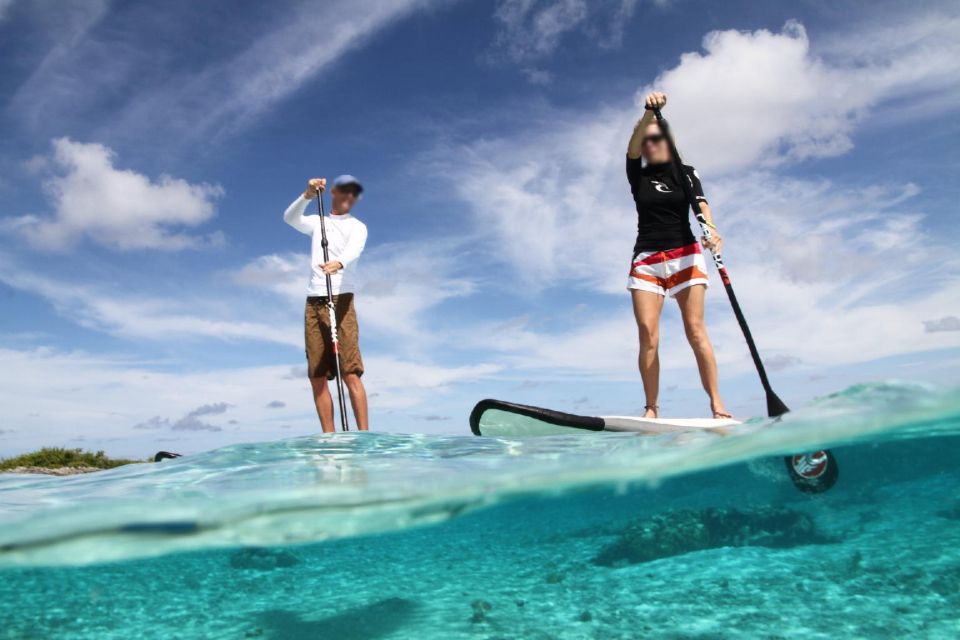 Cagliari: Ocean SUP Sightseeing Tour - About the Stand Up Paddleboarding