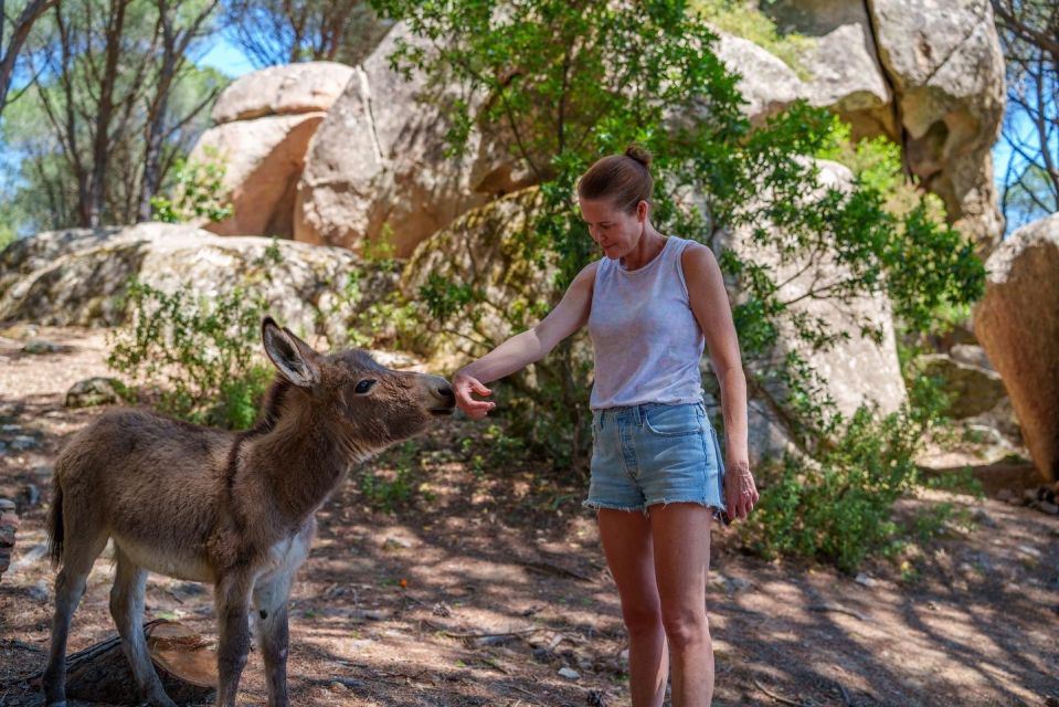 Cagliari: Picnic With Sardinian Donkeys - Booking Process