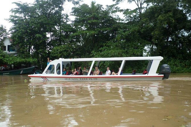 Cahuita National Park & Tortuguero Canals and More!! 6 in 1 Tour - Wildlife and Nature Sightings
