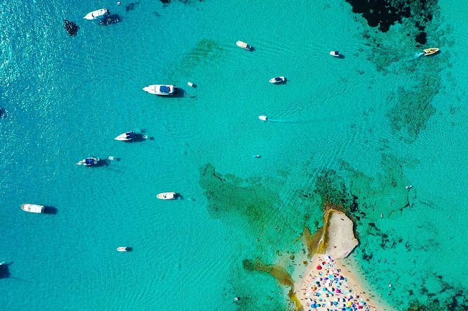 Cala Salada and Unspoiled North Beach Tour. Snorkelling and Aquarium - Cancellation Policy