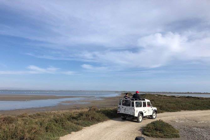 Camargue 4x4 Safari 2 Hours Saintes Maries De La Mer - Duration and Participant Details