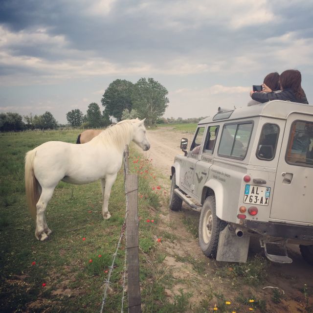 Camargue: Safari From Saintes-Maries-De-La-Mer - Group and Language Options