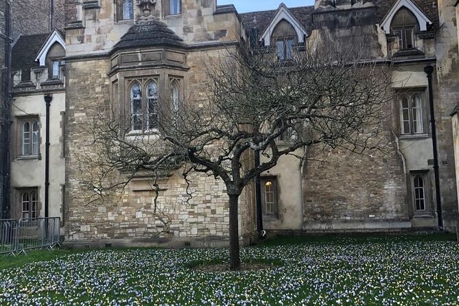 Cambridge Science Tour - Tour Inclusions and Benefits
