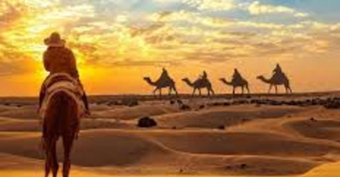 Camel Safari in Osian Desert - Experience Highlights