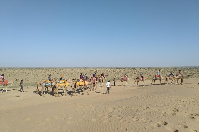 Camel Safari - Safari Options and Packages