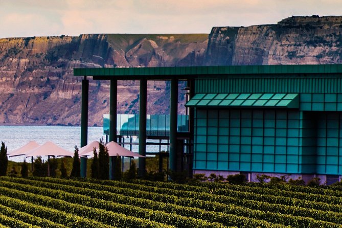 Cape Coast Wineries Self-Guided Scenic Bike Tour From Napier - Wineries to Explore