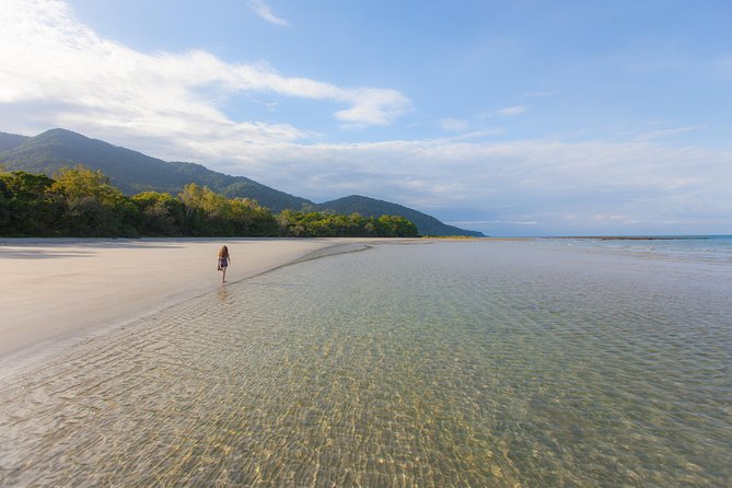 Cape Tribulation & Daintree Wilderness (TCT) - Scenic Daintree River Cruise