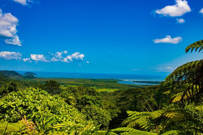 Cape Tribulation Day Tour - Departure Details