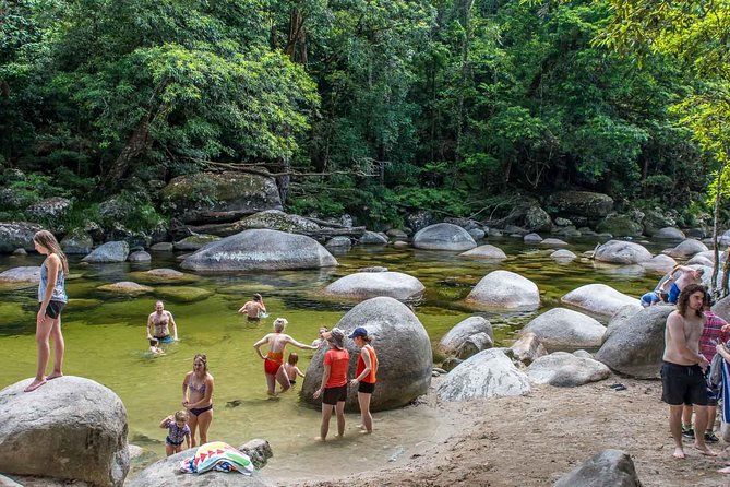 Cape Tribulation, Mossman Gorge, and Daintree Rainforest Day Trip - Guest Experiences and Feedback