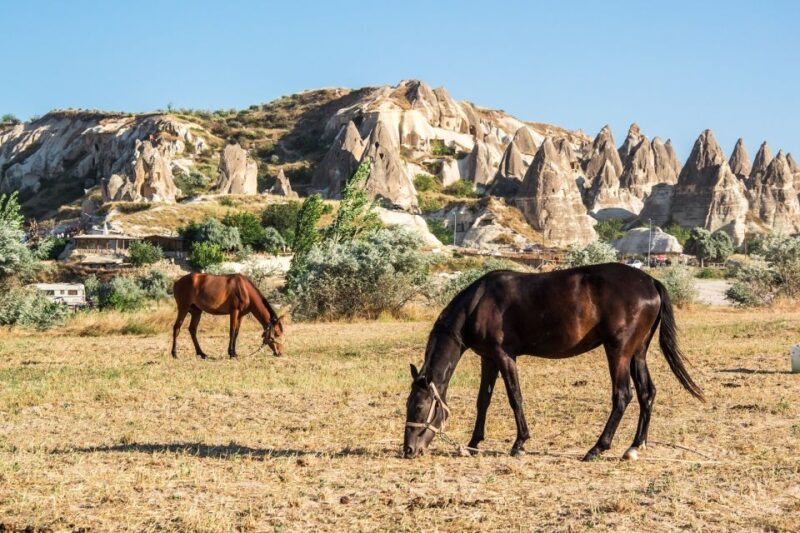 Cappadocia: Sunrise Hot Air Balloon Ride and Day Tour - Inclusions