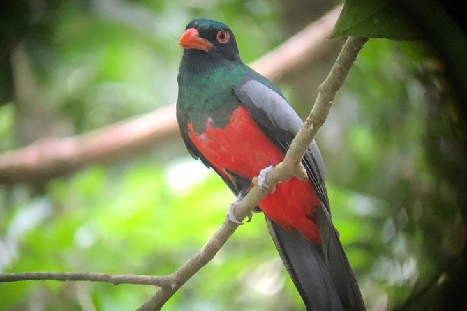 Carara National Park Tour - Accessibility Features