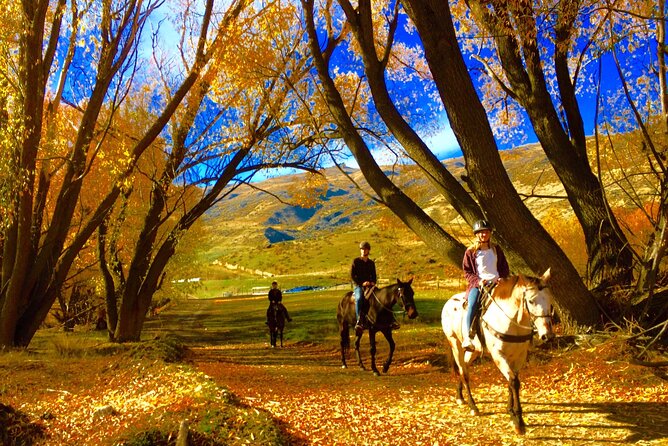 Cardrona Gold Discovery Trail Horse Trek(Beginner/Child Friendly) - Age and Health Requirements