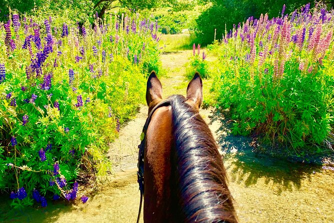 Cardrona High Country Pub Trail Horse Riding Trek (Adventurous) - Meeting Point Details