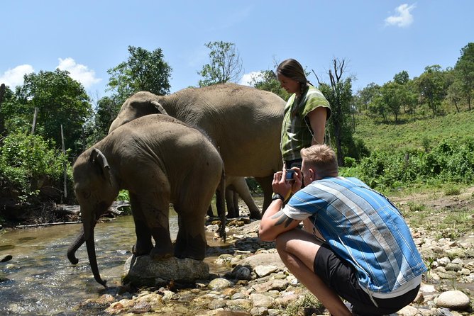 Care Pride Elephants: Full-Day Tour Experience - Pickup and Transfers