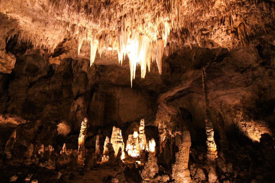 Carlsbad Caverns National Park Walking Audio Tour - Included Features