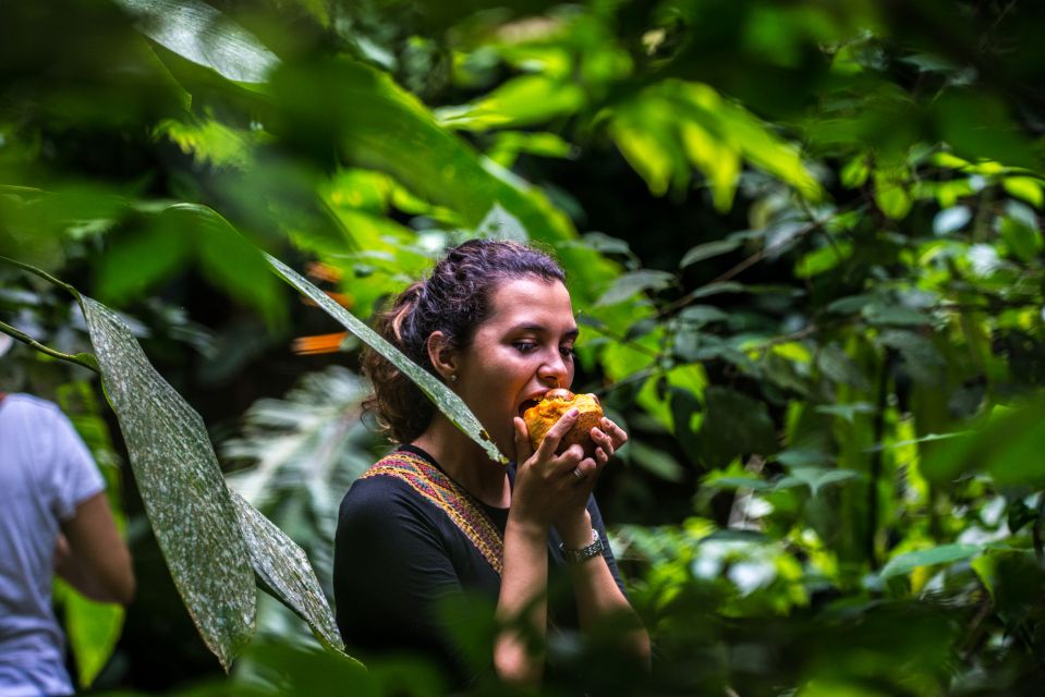 Cartagena: Full-Day Coffee & Cocoa Farm Tour - Itinerary Breakdown
