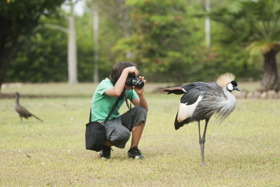 Cartagena: National Aviary of Colombia Entrance Tickets - Bird Species and Exhibitions